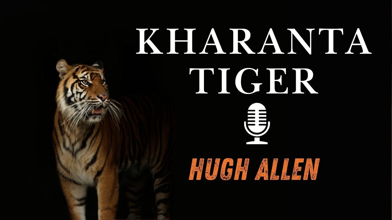 Kharanta Tiger by Hugh Allen | Adventure Audiobook | Audiostory