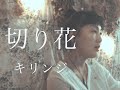 【ニッチな曲カバー】切り花/キリンジ 【covered by タエナル】