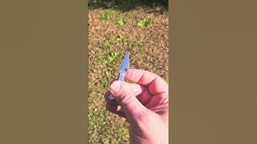 Shrink Ray - the Spyderco Bug - What