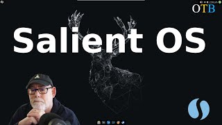 Salient OS - An Arch Distro for Gamers and Multi-Media Enthusiasts