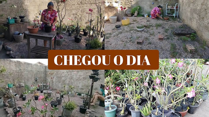 FINALMENTE TIREI UM TEMPO PARA CUIDAR DESSE CANTINHO / TERÁ CONTINUAÇÃO...