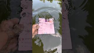 Vivo X Fold 5 – Waterproof Power Meets Foldable Innovation 💧📱