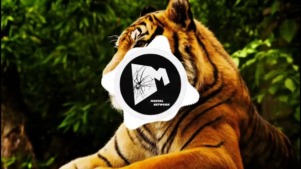 ZORRO - Bomboclat [Jungle Terror]