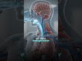 Summer Diabetic Care #dehydration #diabetes #SGLT-2_inhibitors