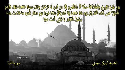 الشيخ أبوبكر مومني صلاة العشاء ليلة 10 رمضان 1443 هـ II سورة النبأ وعبس
