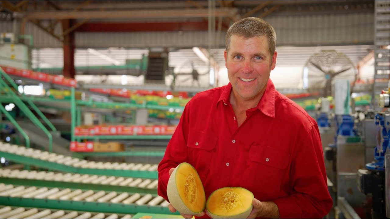 Leading melon producer uses Luna® Experience to tackle key diseases