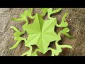 Amazing paper craft for home decor /easy paper crafts/ #diy #craft #pujazoot #video #viral 