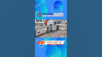 MÁY CƯA CẮT KHUYẾT TẬT TỰ ĐỘNG - Máy cắt phay chọn lọc - Máy cưa cắt loại bỏ mắt gỗ