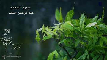 عبدالرحمن مسعد سورة السجدة تلاوة خاشعة تريح القلب