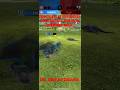 Indochicyon vs Atromolistis. (JWA | Spotlight Strike!) (No Background Music.) #jurassicworldalive