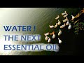 Listen to those who have no voice ( Must Watch why Water is going to be the next Oil )