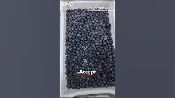 Blueberry Color Sorter with AMD LY