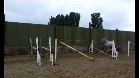 Liadan loose jumping