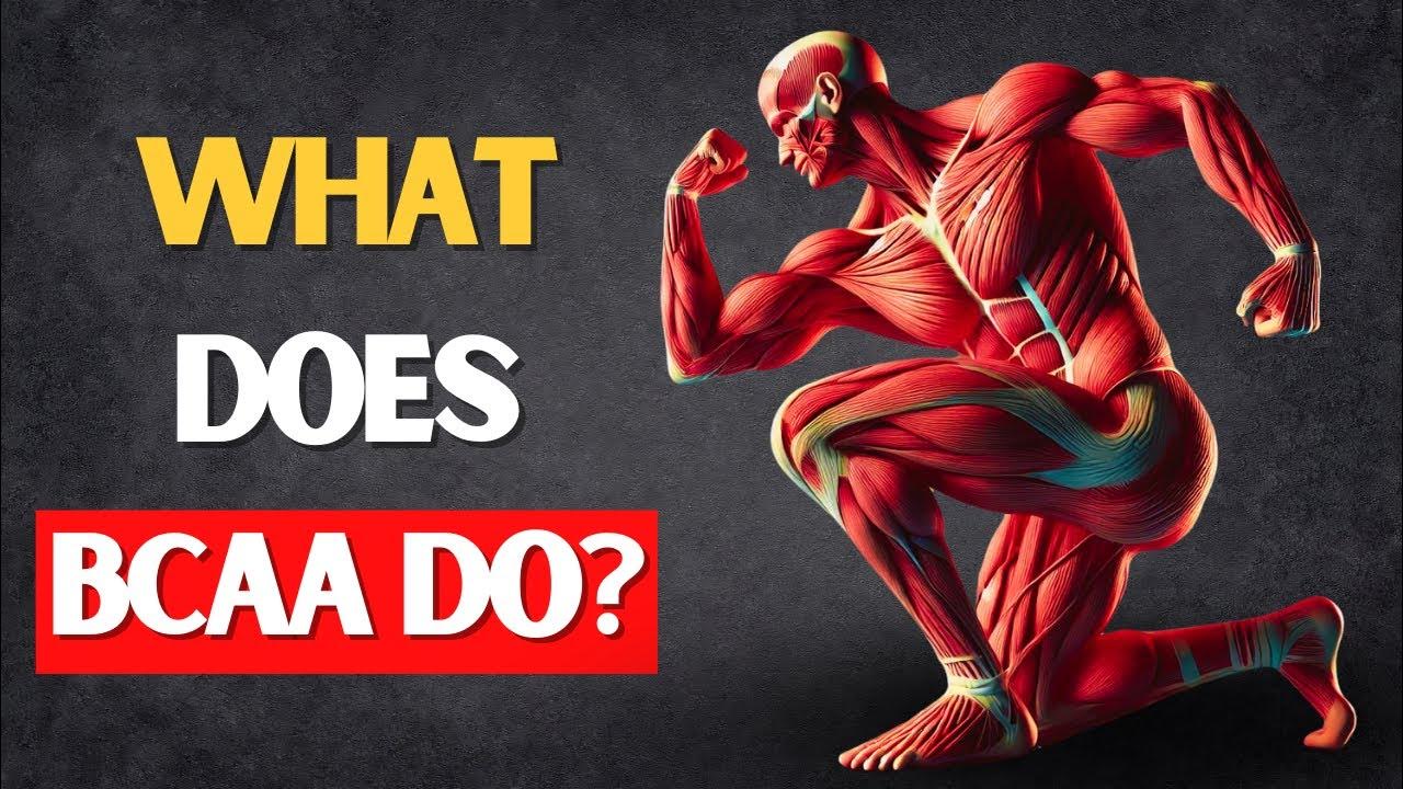 What Happens to the Body if You Take BCAA? YouTube