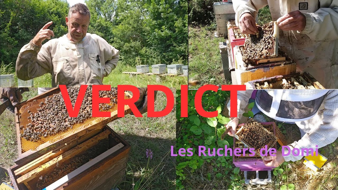 Saison 4 Épisode 17. Verdict…