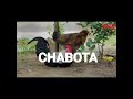 JEMAX - CHABOTA ( Video ) Starship Music