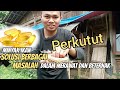 FUNGSI MINYAK IKAN? ATASI TELUR PEEKUTUT GAGAL MENETAS❗