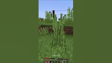 MINECRAFT But Random Structures Spawn Every Minute #shorts #minecraft