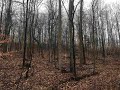 Home for sale - Monacan Trail Rd, North Garden, VA 22959