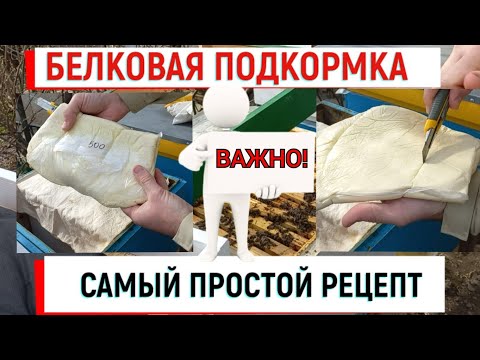 Белковая подкормка - это ОЧЕНЬ ВАЖНО! Лучшие рецепты.