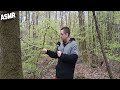 Asmr en pleine foret 