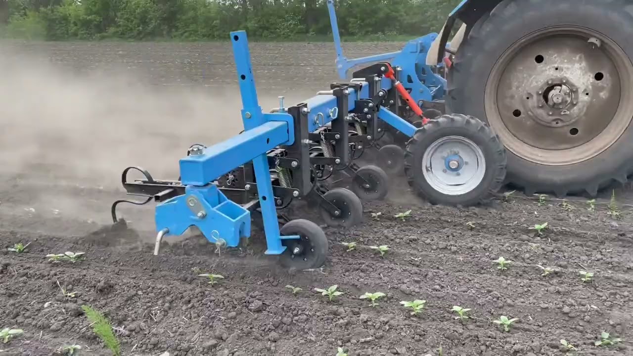 Міжрядний культиватор КУМ-5,6 від AGROKALINA (8-рядний)