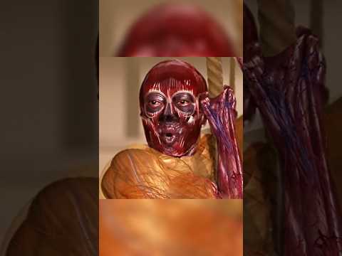 قصة الفتاة التي أخفت هيكل ا عظمي ا شفا قصص قصص واقعية حكمة قصص اطفال 