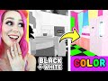 Building My TINY HOME In BLACK AND WHITE! | Roblox Adopt Me Build Challenge