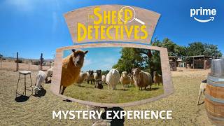 Winter Lamb Mystery Experience
