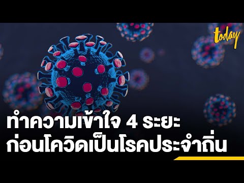 ทำความเข้าใจ "4 ระยะ" ก่อนโควิดเป็นโรคประจำถิ่น | workpointTODAY