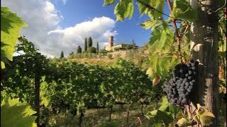 Jack Jezzro - Guitar Italiano [Full Album Visualizer]