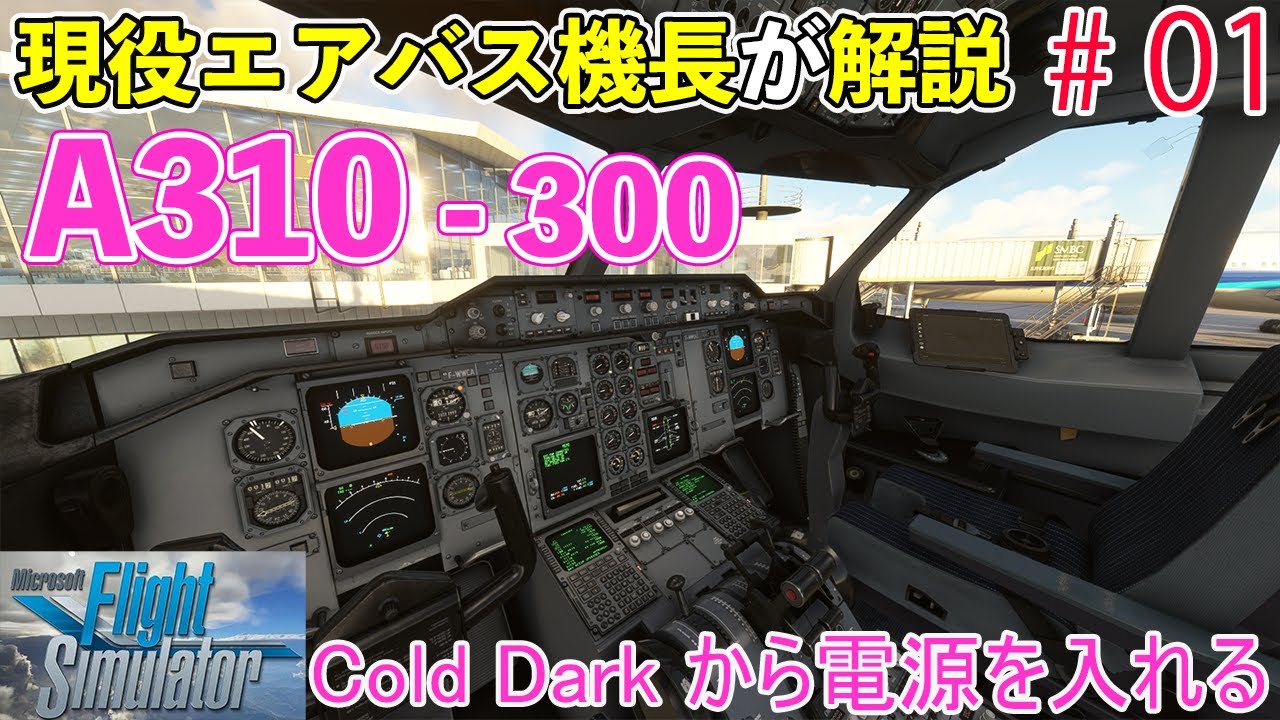 航空機・ヘリコプター PANAMAirbus A310-300 航空機・ヘリコプター