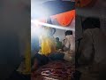 kala saree