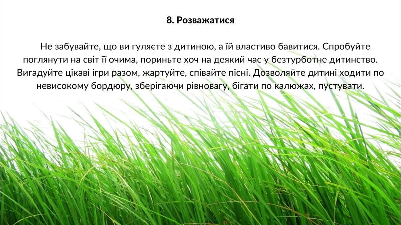 Трава на белом фоне