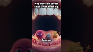 Why Does Bad Breath Persist After Careful Brushing? Discover The True Cause