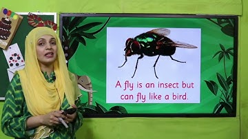 GK 2 Chapter 16 Lecture 3 || SNC 2020 ||