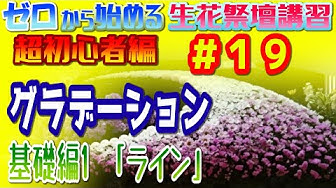 はなゆりチャンネル Youtube