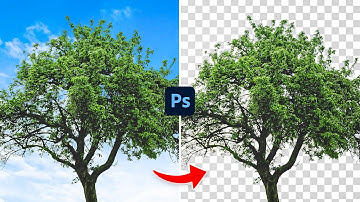 Select Any Tree in Photoshop FAST!