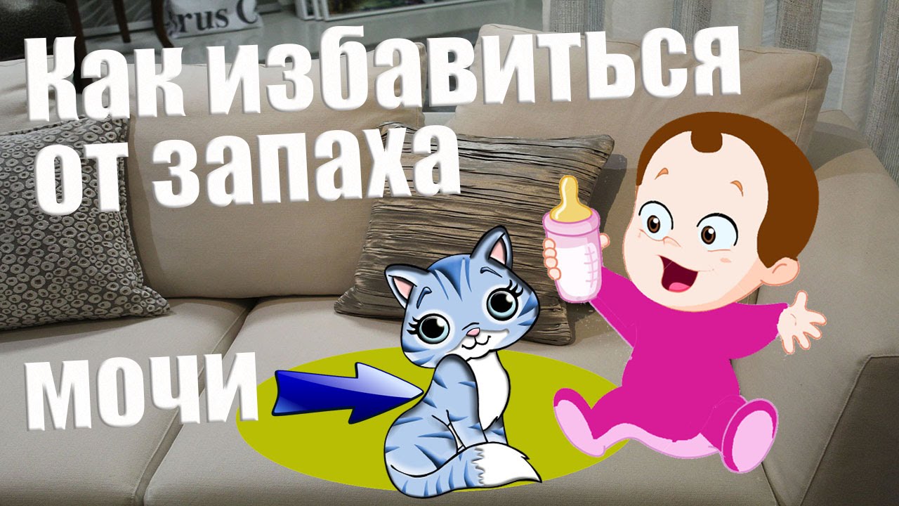 Как избавиться от запаха мочи на диване - YouTube