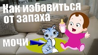 Как избавиться от запаха мочи на диване