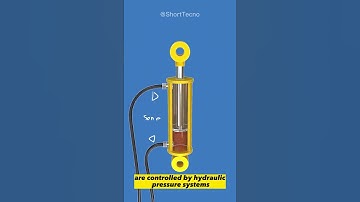 Dead Spiders Transformed Into Incredible Robots