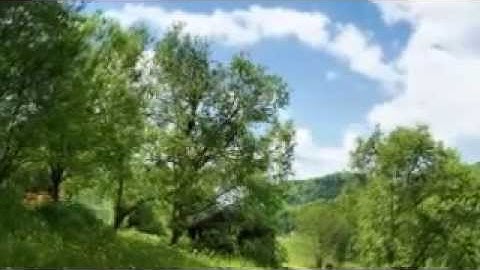 القارئ عبدالله عواد الجهني سورة الأنبياء