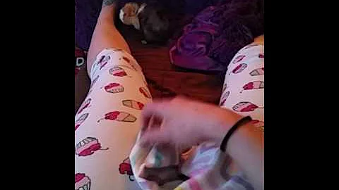 Video 1315591: female abyssinian, baby abyssinian, abyssinian playing