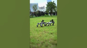 ELECFREAKS 丨Look! Who do we meet in the park? It seems that XGO Couple is terribly excited..#short