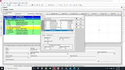 How to Add new Currency in Primavera P6