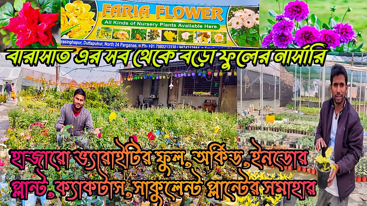 বারাসাতের সবথেকে বড়ো ফুলের নার্সারি Faria flower
