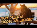 Мой первый тревел влог! Рычащие эму, веселые хаски, умные лошади и другие животные. Смотрим!