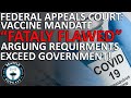 Federal Appeals Court Calls Biden Vaccine Mandate ‘Fatally Flawed’ and ‘Staggeringly Overbroad’