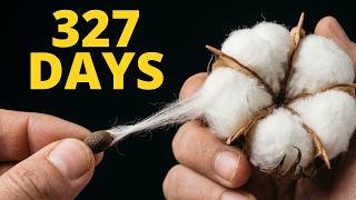I Grew Cotton for 327 DAYS – Here's What Happened
