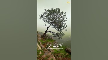 سوره الفرقان✨﴿قُل أَذلِكَ خَيرٌ أَم جَنَّةُ الخُلدِ الَّتي وُعِدَ المُتَّقونَ كانَت لَهُم جَزاءً﴾